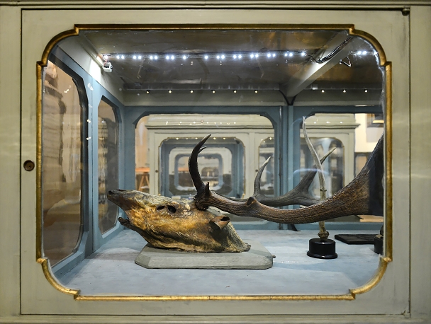 museo di storia naturale bologna 8-2022 3969